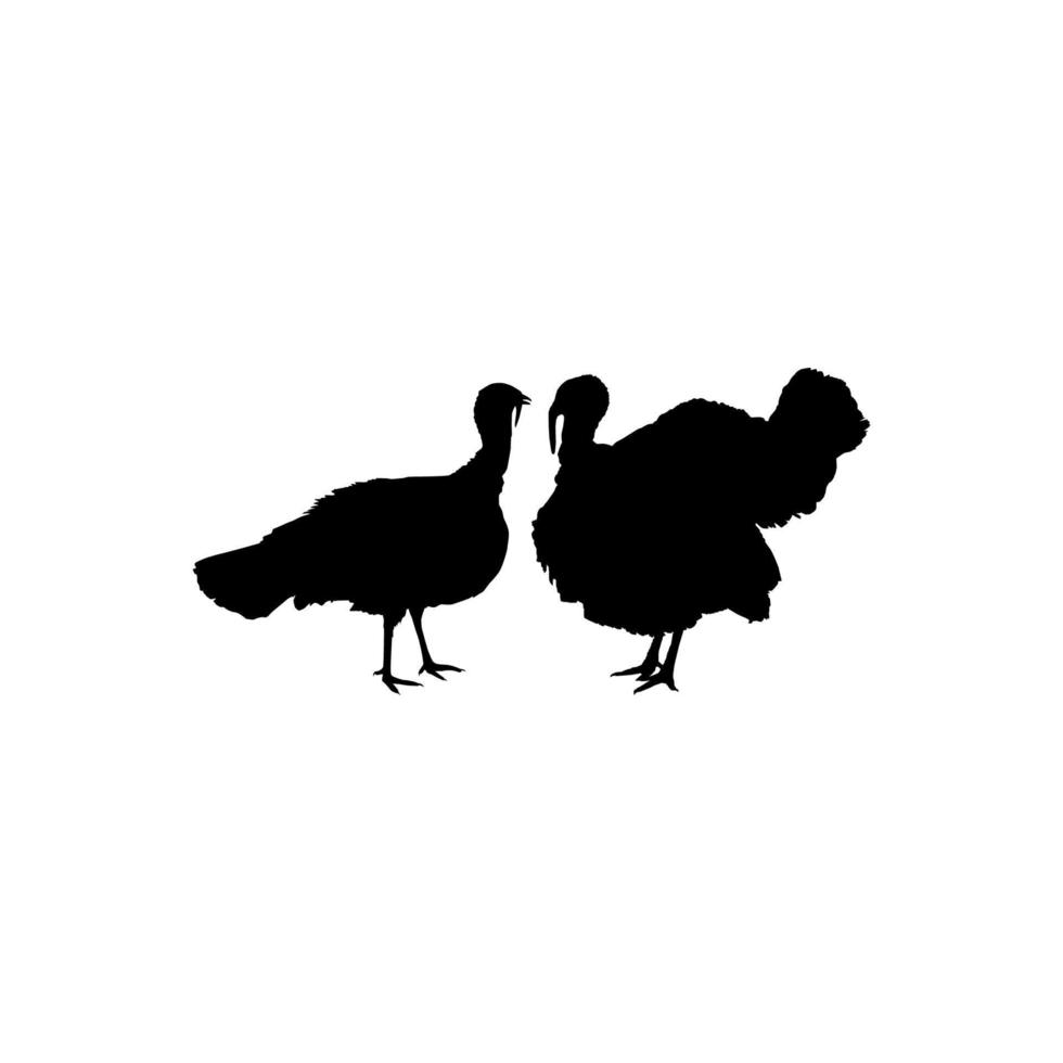 Pair of Turkey Silhouette for Art Illustration, Pictogram or Graphic Design Element. The Turkey is a large bird in the genus Meleagris. Vector Illustration