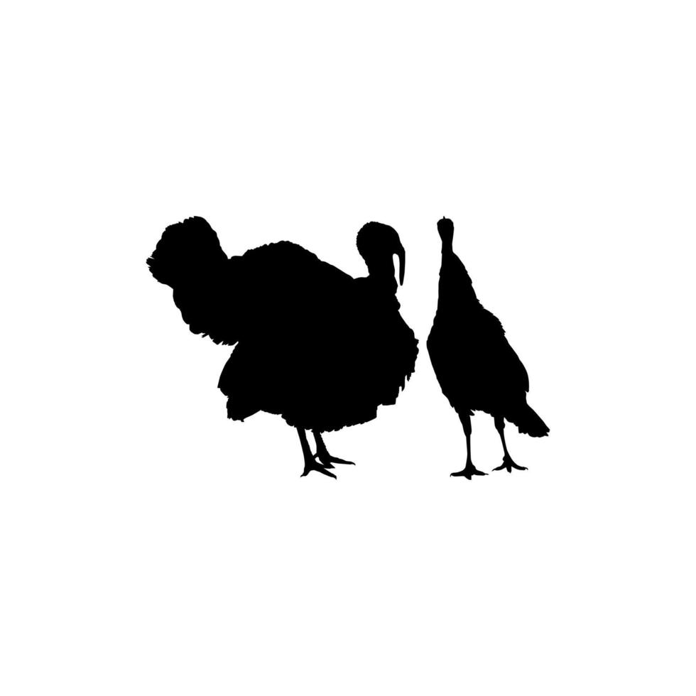 Pair of Turkey Silhouette for Art Illustration, Pictogram or Graphic Design Element. The Turkey is a large bird in the genus Meleagris. Vector Illustration