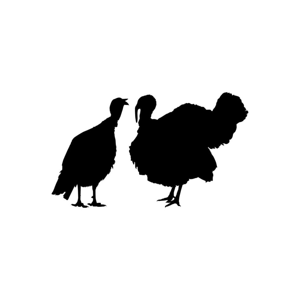 Pair of Turkey Silhouette for Art Illustration, Pictogram or Graphic Design Element. The Turkey is a large bird in the genus Meleagris. Vector Illustration