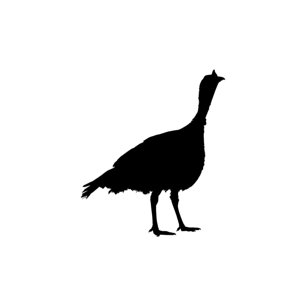 Turkey Silhouette for Art Illustration, Pictogram or Graphic Design Element. The Turkey is a large bird in the genus Meleagris. Vector Illustration