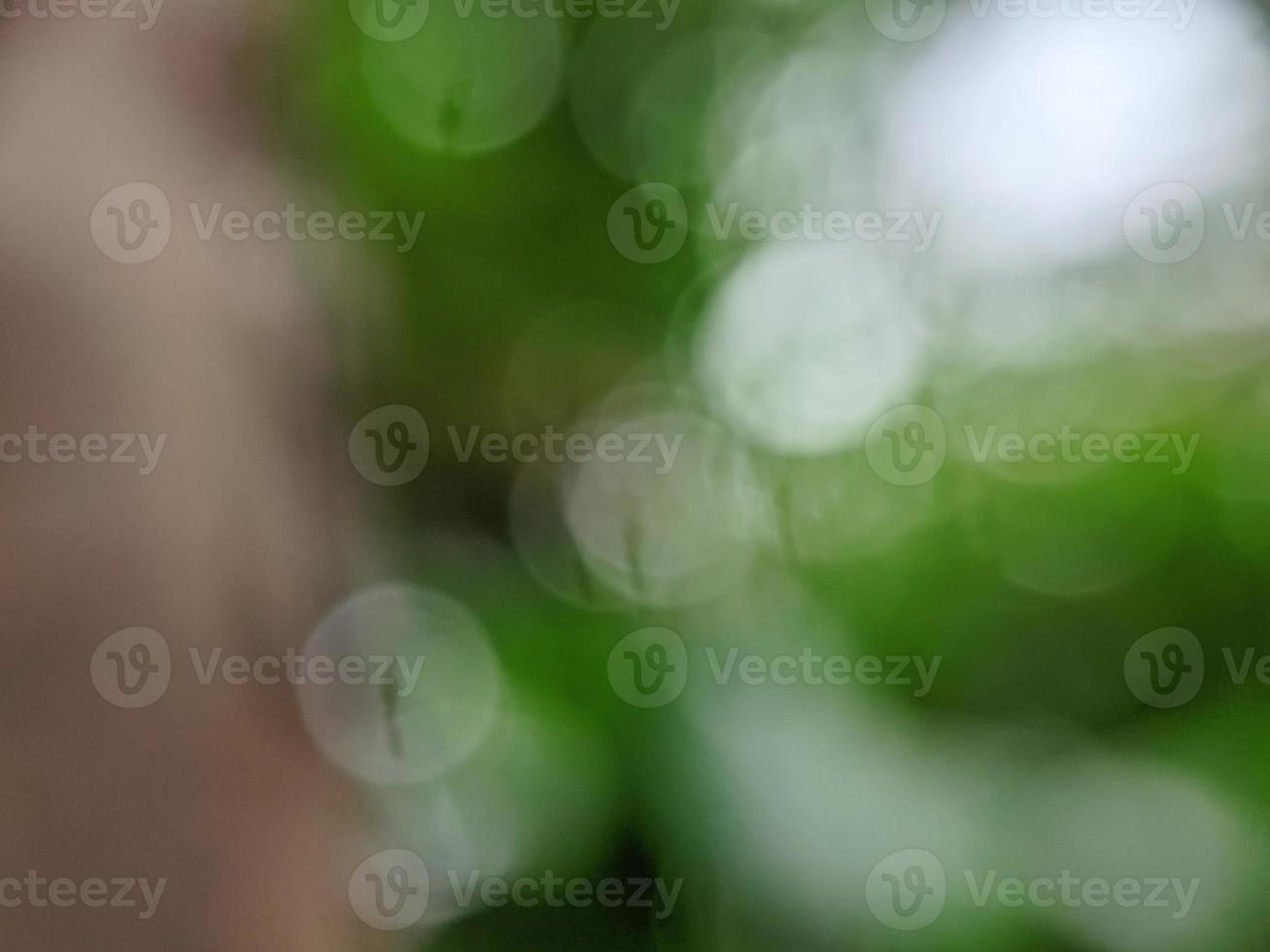 defocused background image photo