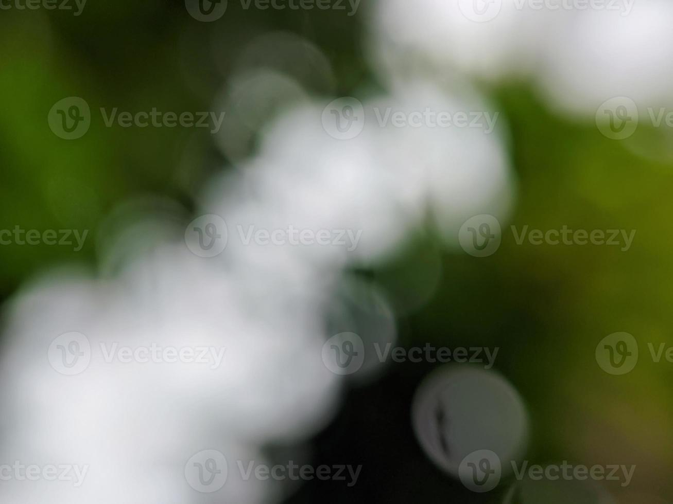 defocused background image photo