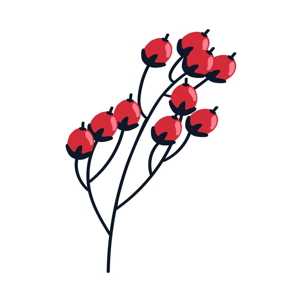 Berry Branch Illustration vector