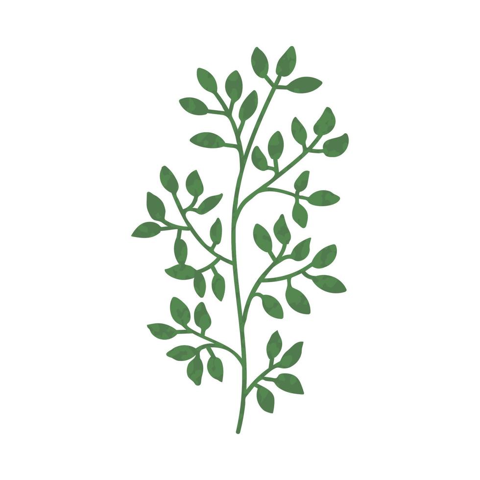 Green Plant Illustration vector