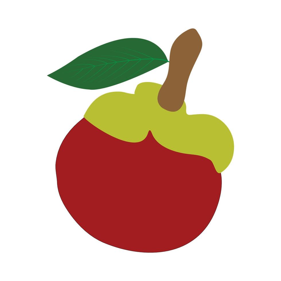mangosteen icon vector