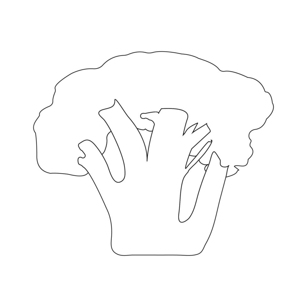 broccoli icon vector