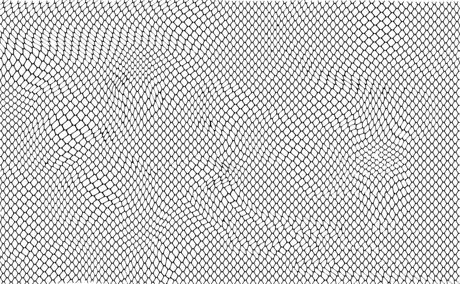 Snake skin pattern. Snake scales. Black and white. vector
