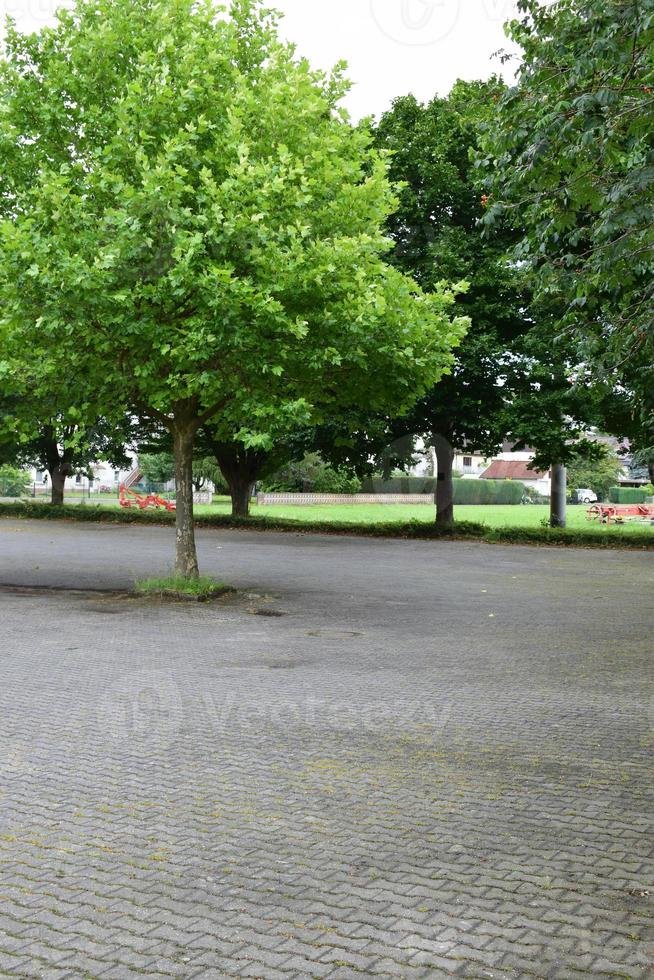 Parking Lot with Green Trees photo