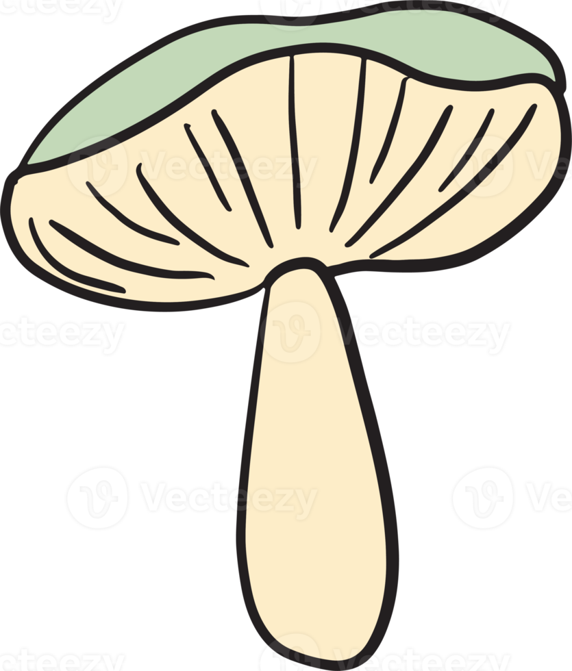 Mushroom drawing image for food or cooking concept png