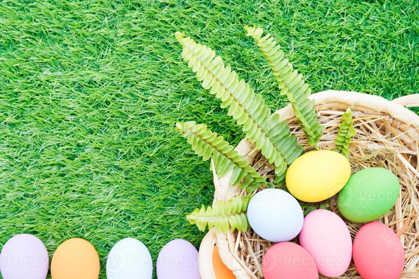 Easter eggs in the basket on grass photo