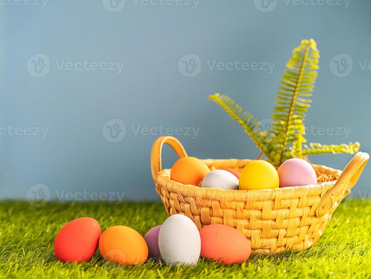 Easter eggs in the basket on green grass photo