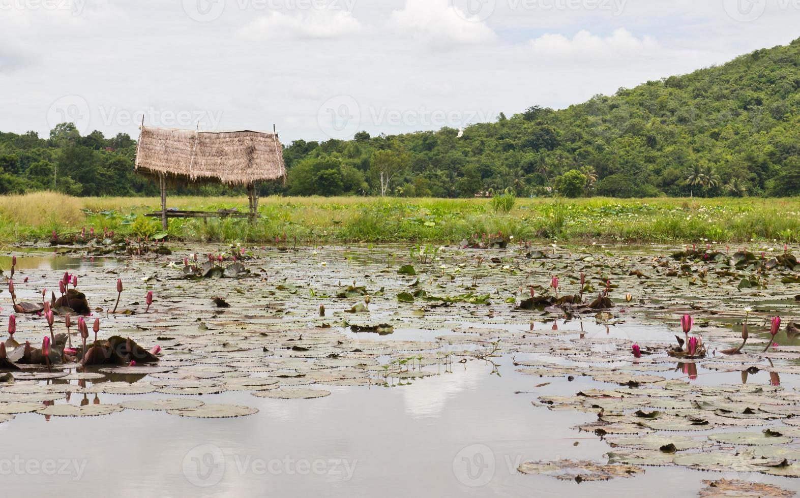 Hut gardener in farm photo