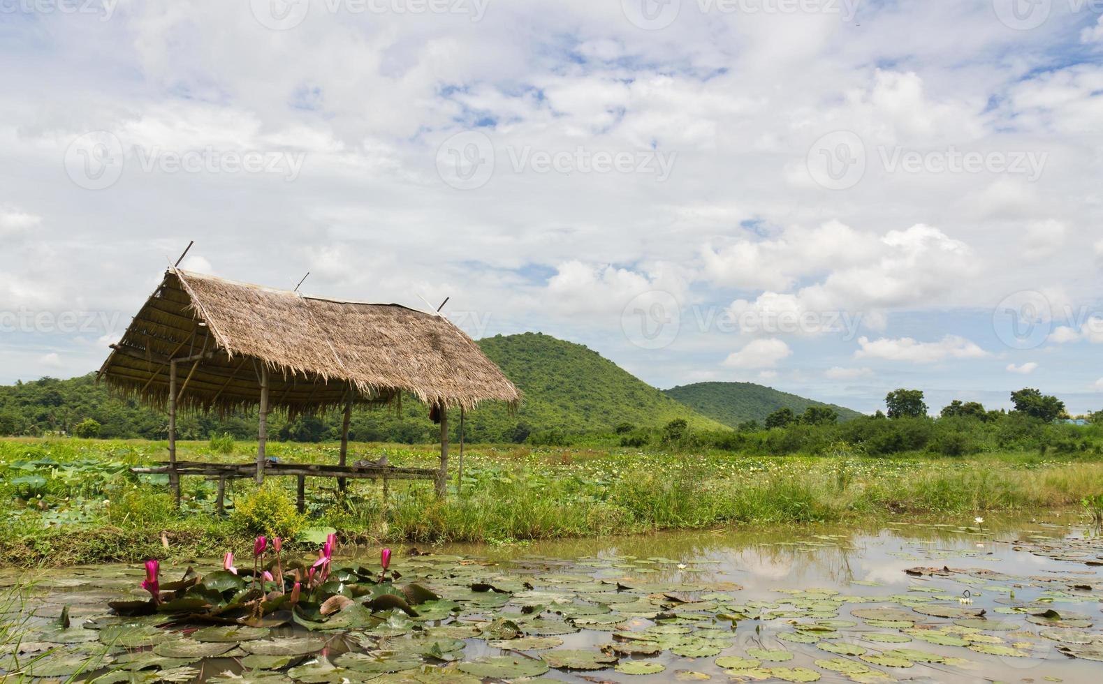 Hut gardeners in farm photo