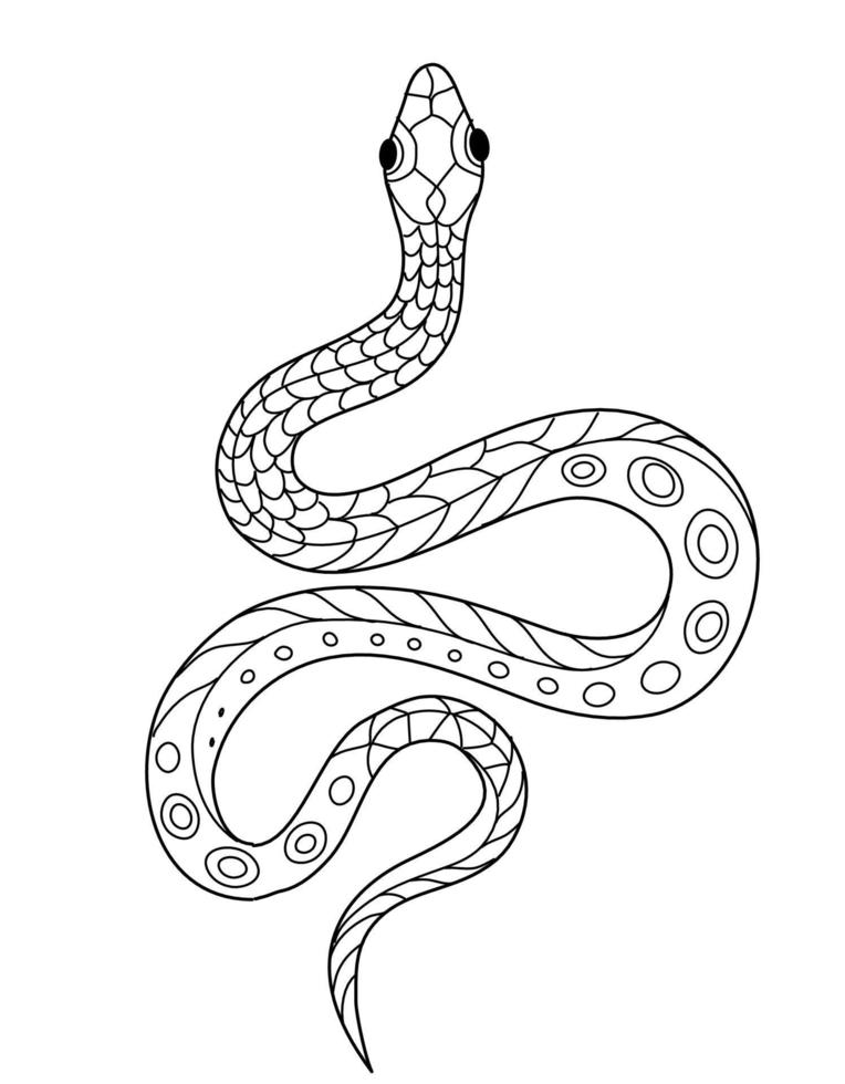 Hand drawn monochrome Snake. Coloring page for kids and adults. Ancient