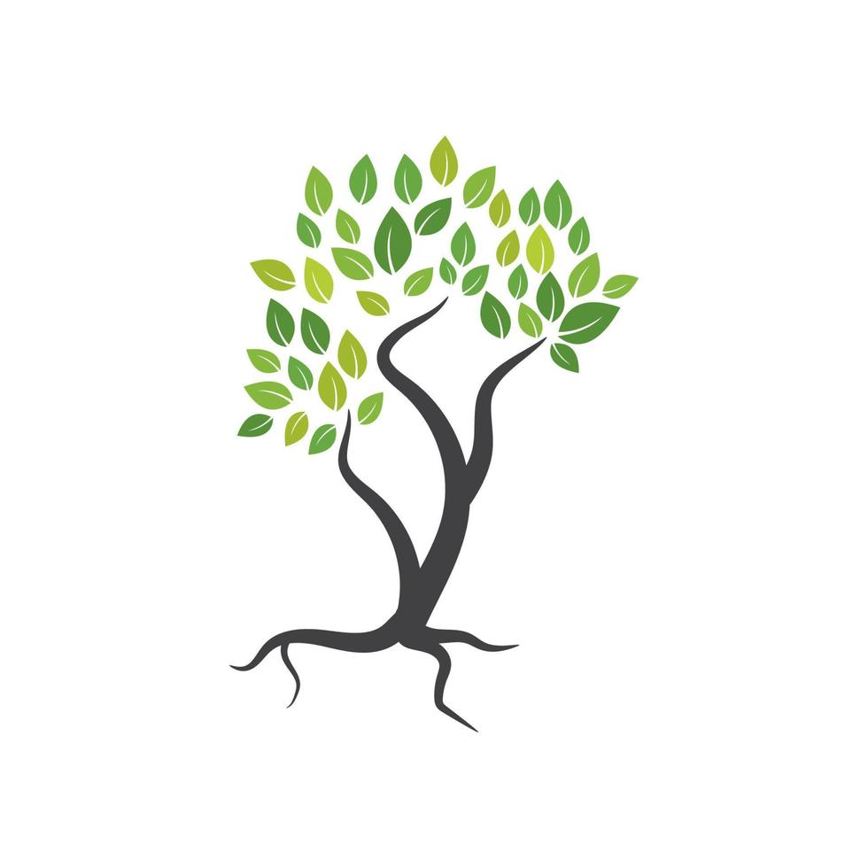 Tree branch vector ilustration design