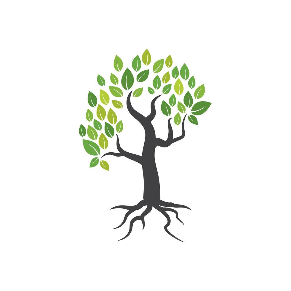 Tree branch vector ilustration design