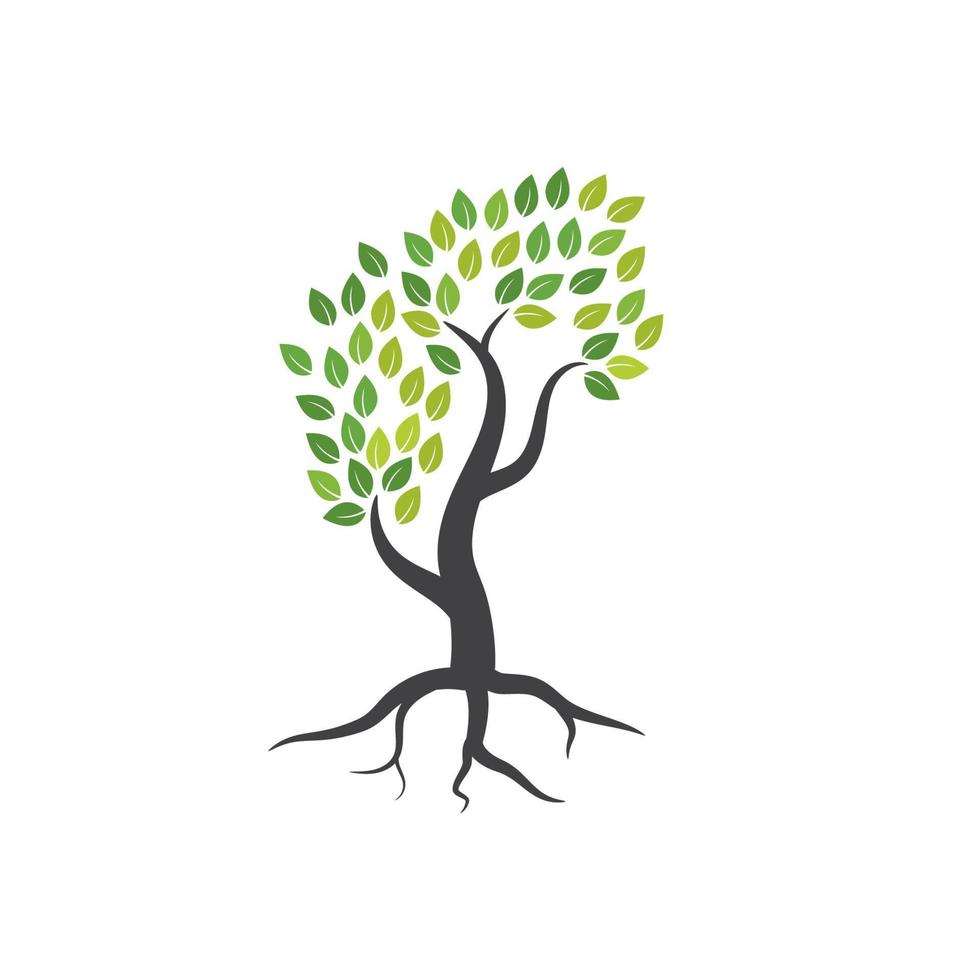 Tree branch vector ilustration design