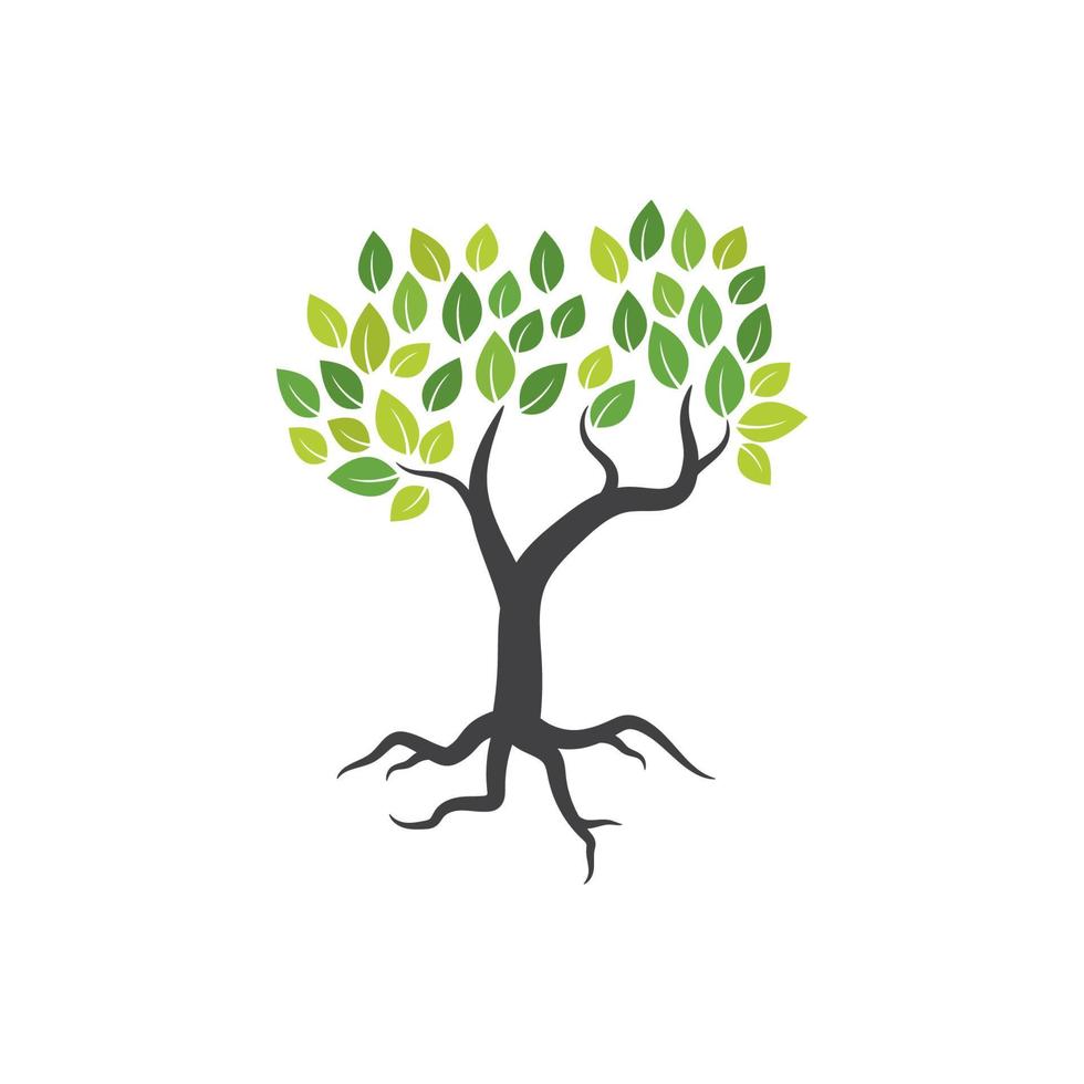 Tree branch vector ilustration design