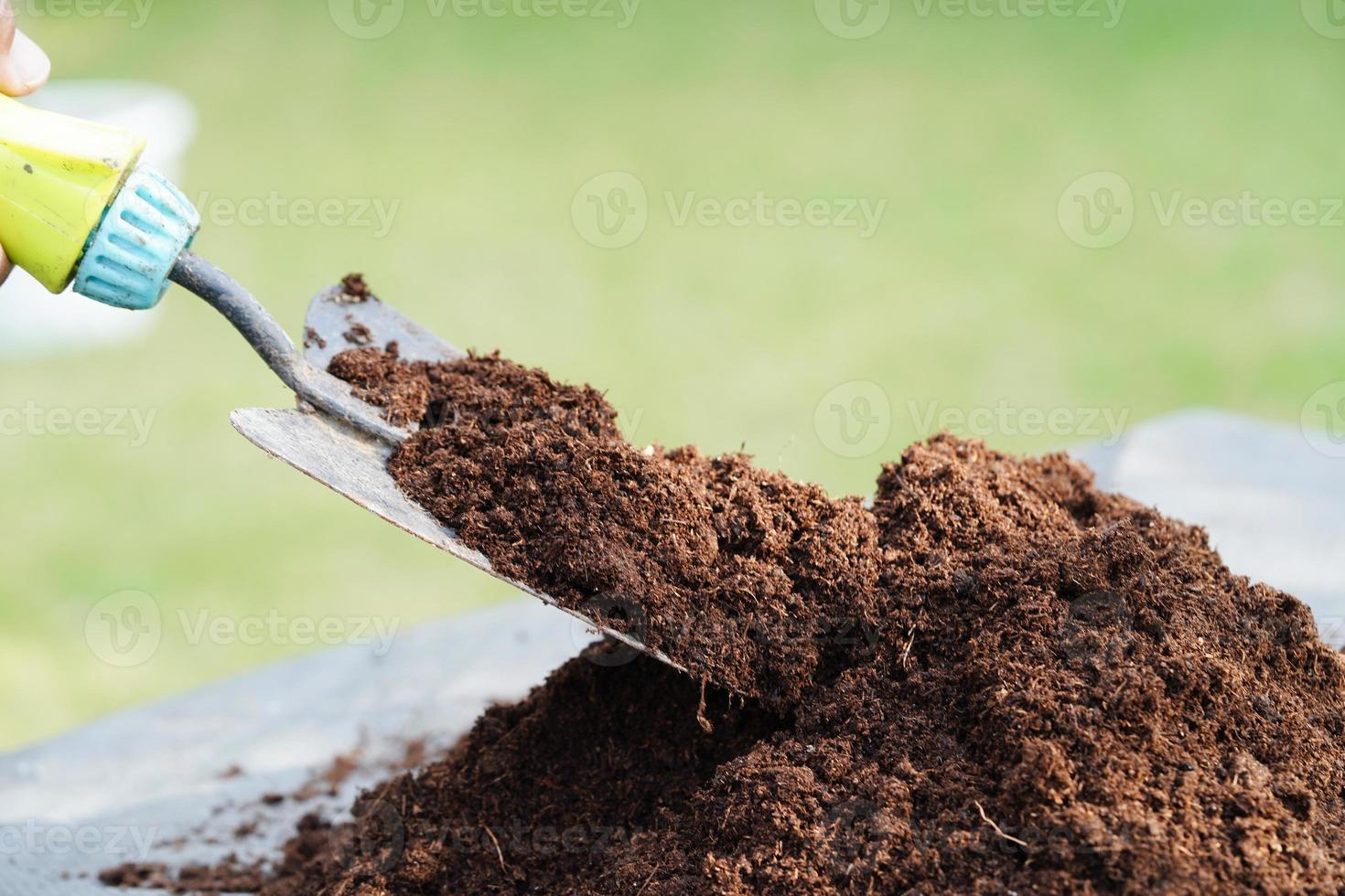 Peat moss, fertilizer soil for organic agriculture, plant growing, ecology concept. photo