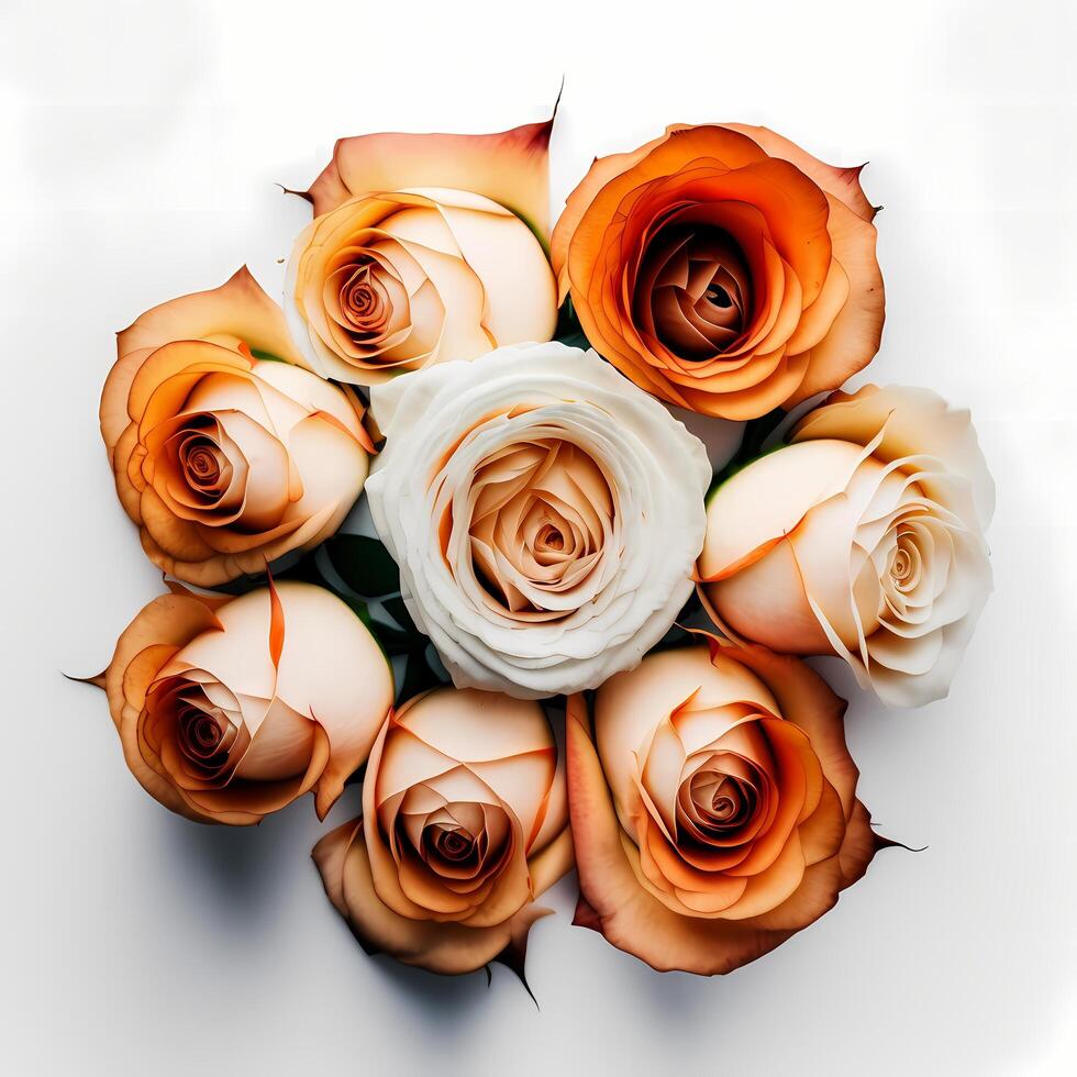 flower aesthetic graphic art photo