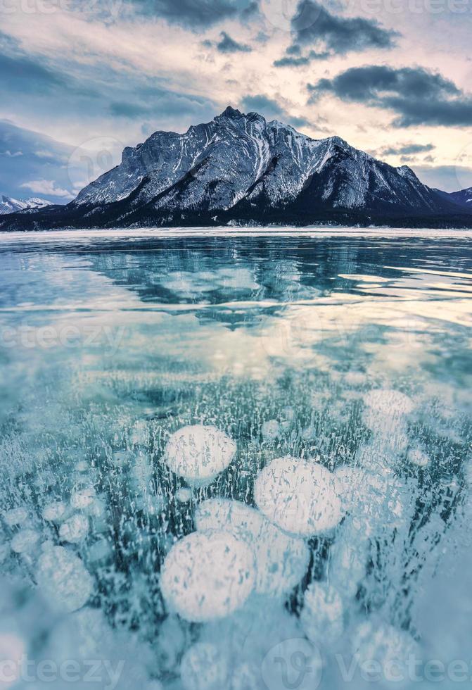 View of Abraham Lake with natural bubbles frost in the morning on winter at Banff national park photo