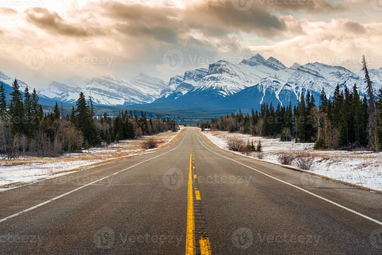 Road trip on highway between pine forest driving straight to rocky mountains in Icefields Parkway photo