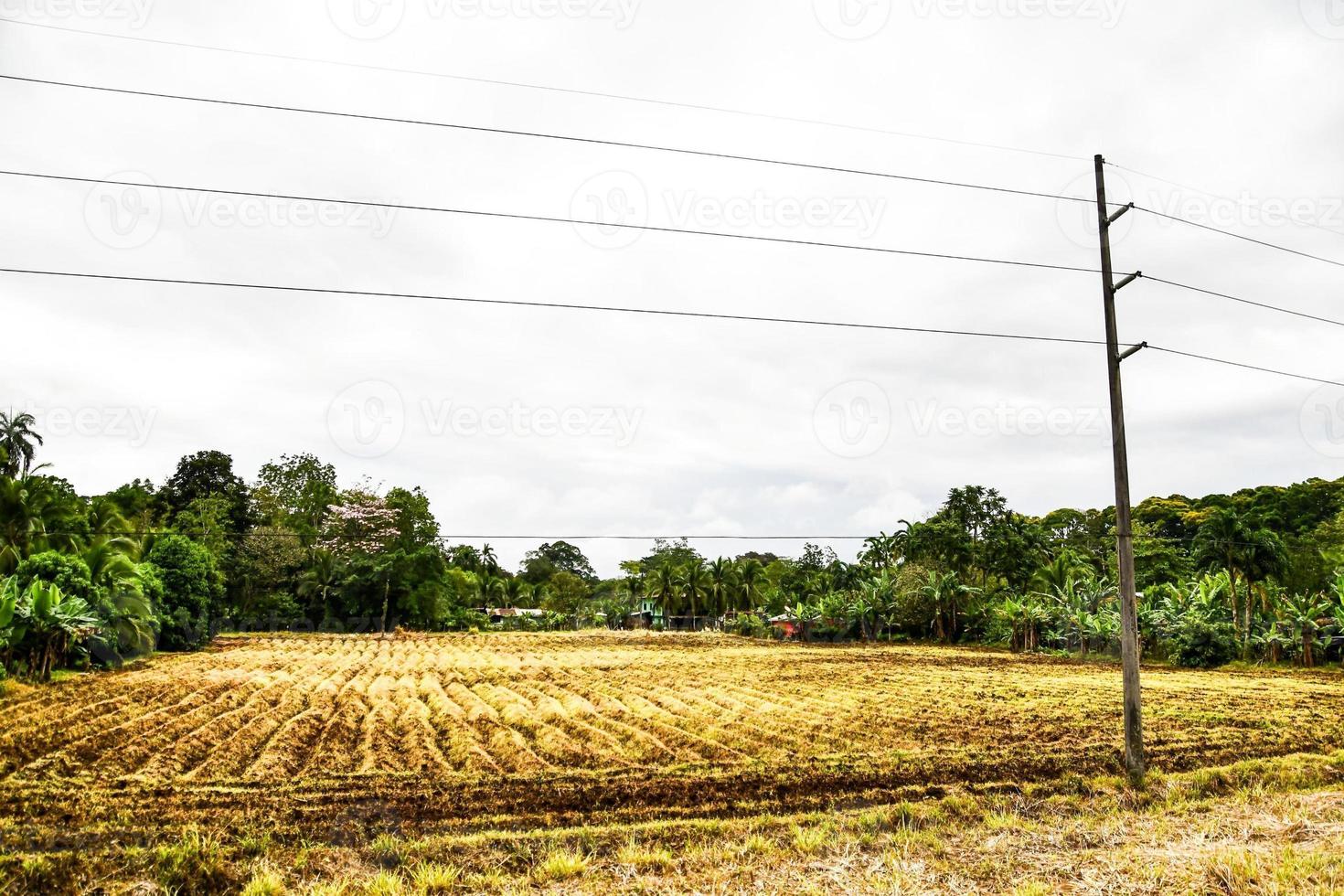 Scenic rural landscape photo