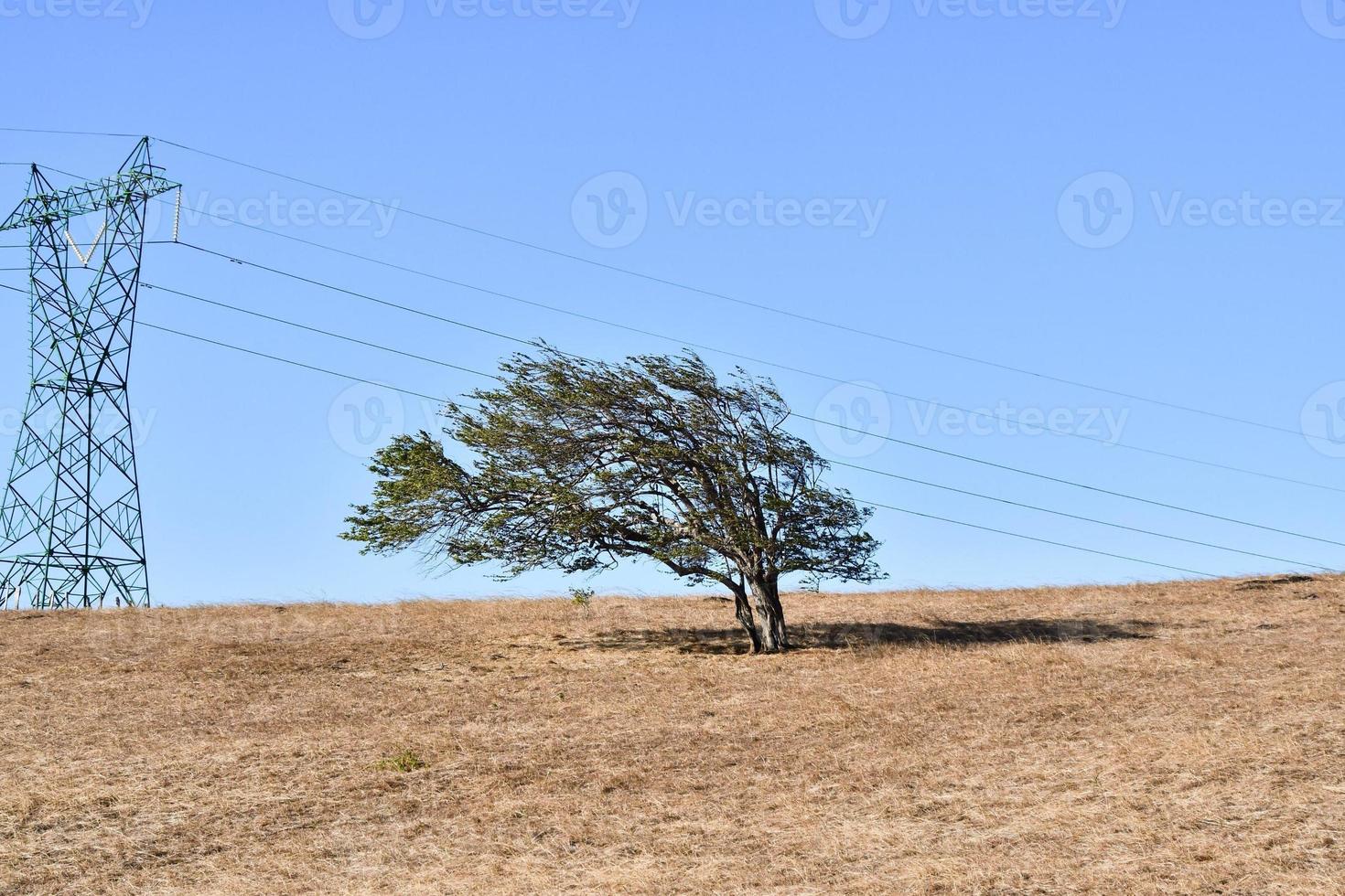 Scenic rural landscape photo
