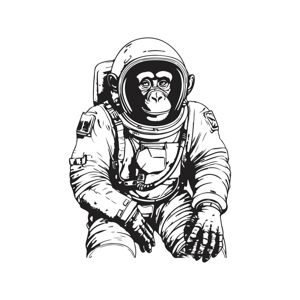 espacio adecuado chimpancé astronauta, vector concepto digital Arte ,mano dibujado ilustración