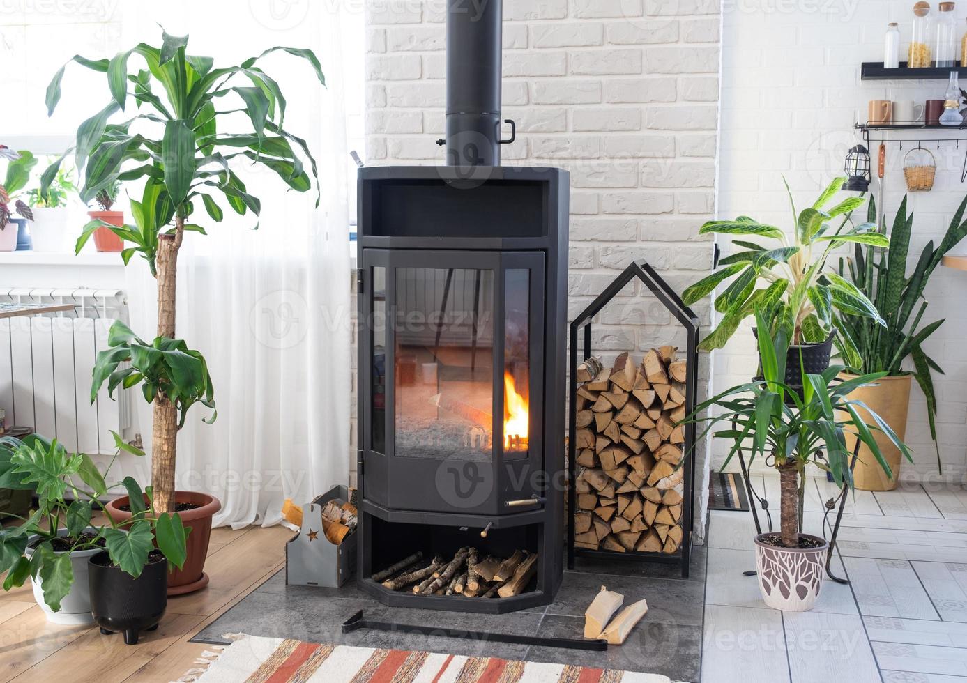 Black Metal Steel fireplace stove with fire and firewood in green home with indoor plant in flower pot in village house. Cozy home hearth in interior with potted plants photo
