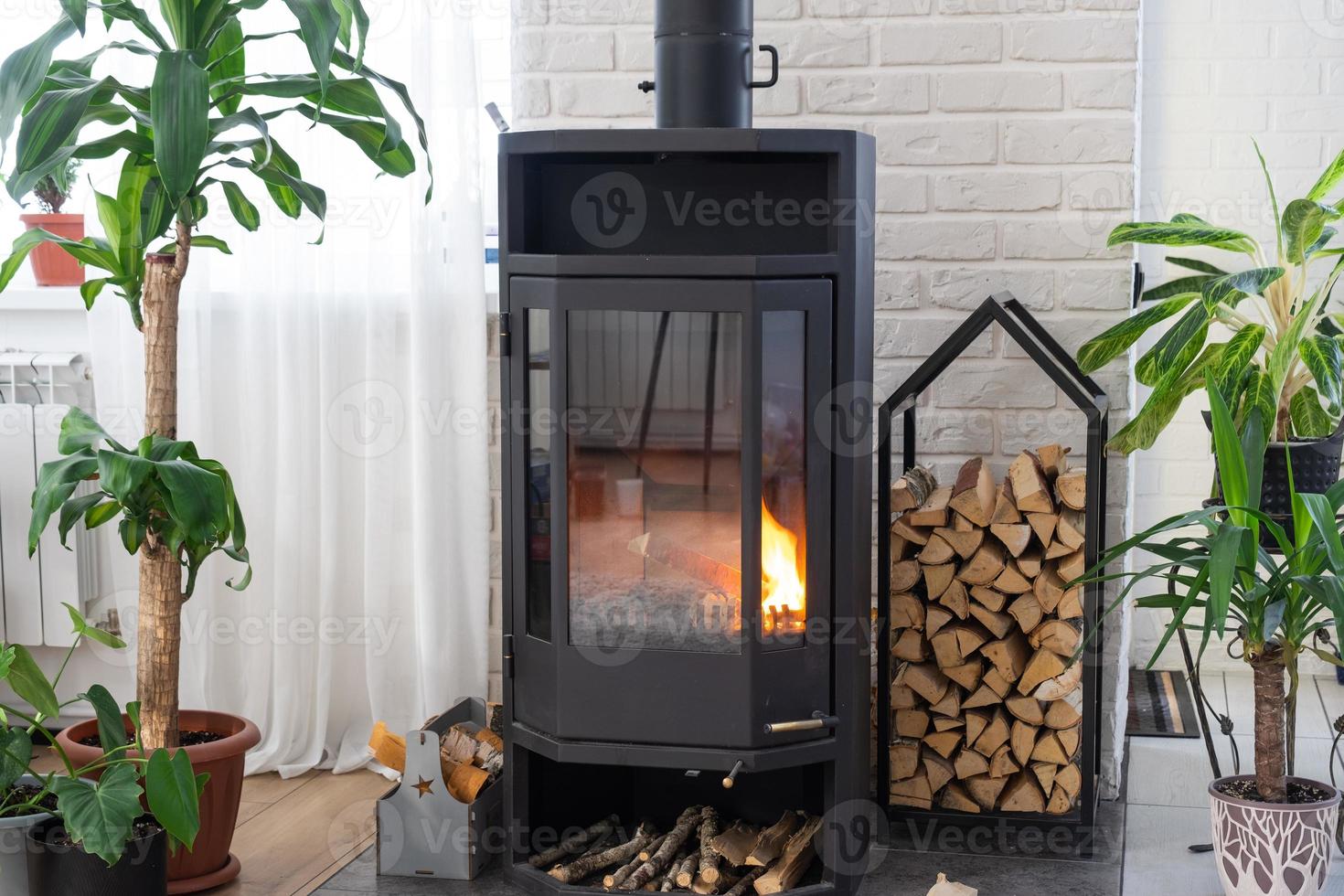 Black Metal Steel fireplace stove with fire and firewood in green home with indoor plant in flower pot in village house. Cozy home hearth in interior with potted plants photo