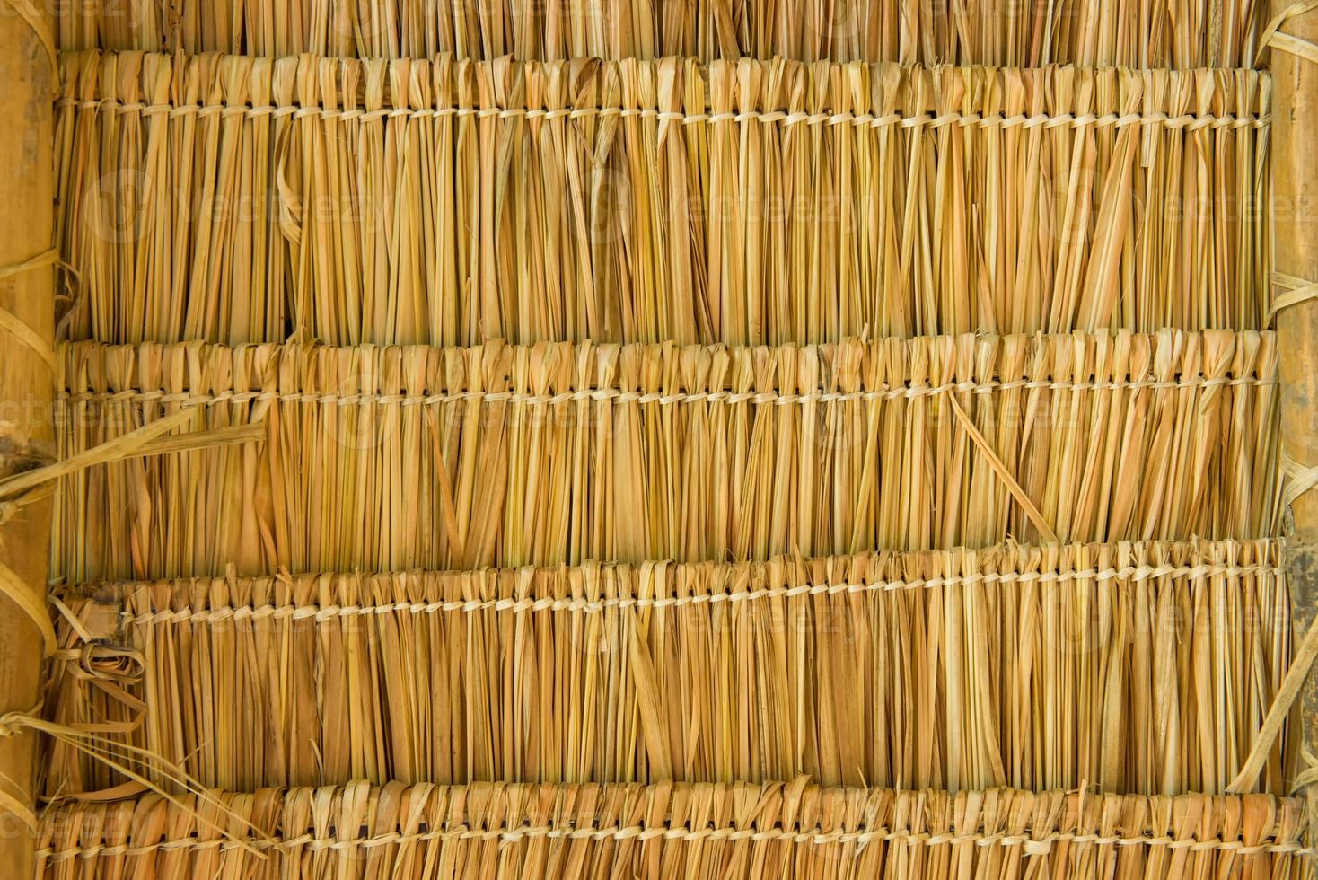 The layer roof of cogon grass photo