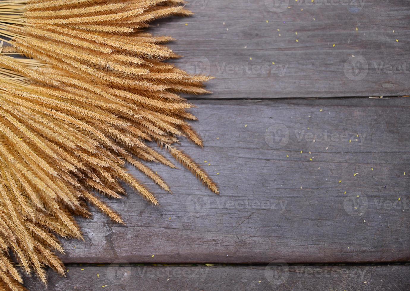 wooden background with dried rice photo