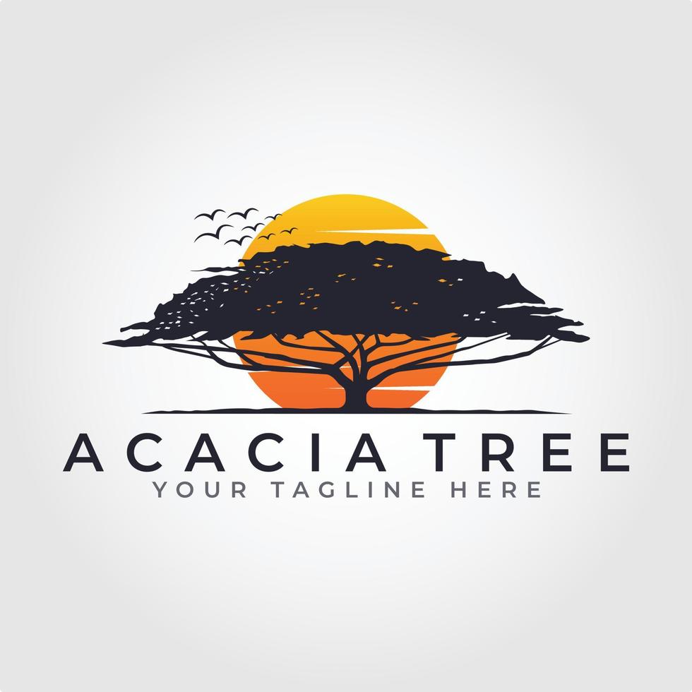 puesta de sol amanecer en el bosque logo diseño. acacia árbol vector logo diseño