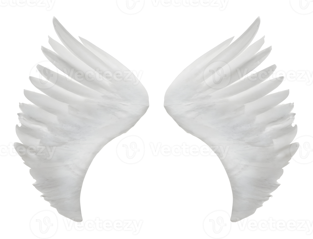 white angel wings. png