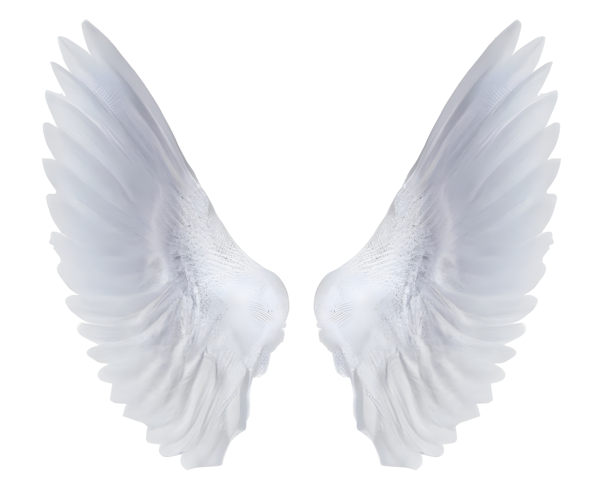 white angel wings. 21887869 PNG