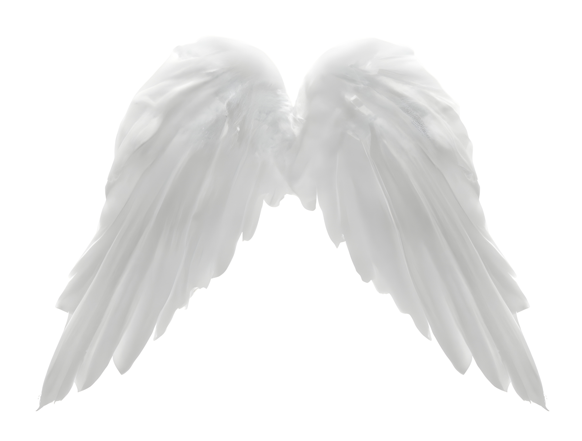 white angel wings. 21888163 PNG