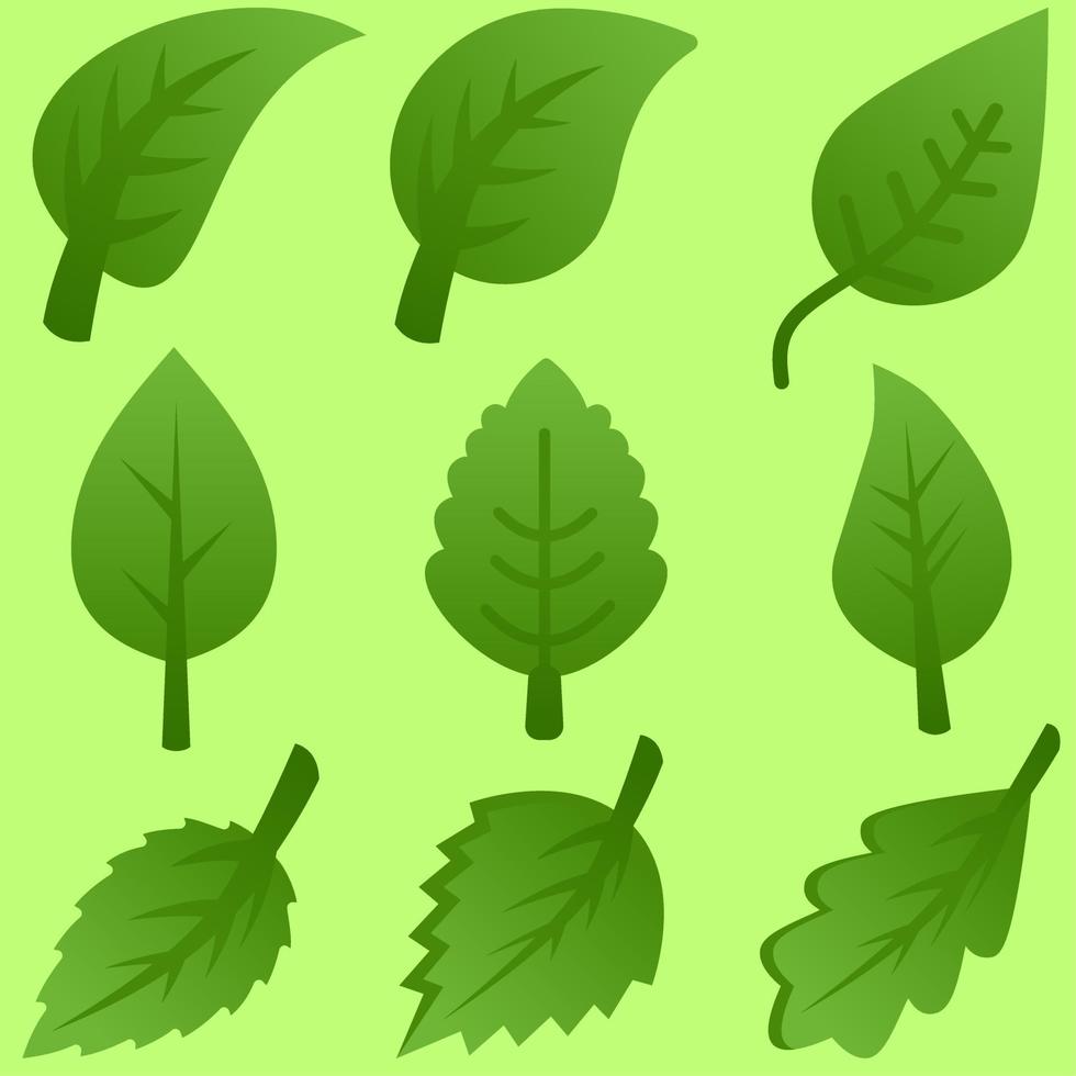 Leaf vector illustration. Green leaf icon for design element. Set of leaves for plant, tree, environment, eco, bio or energy. Icon sheet for design graphic resource of nature