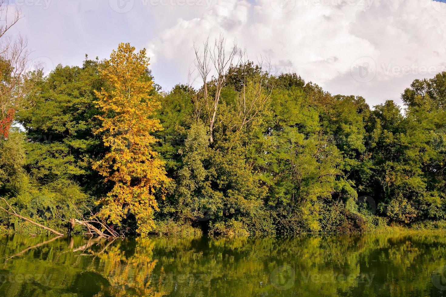 Scenic rural landscape photo