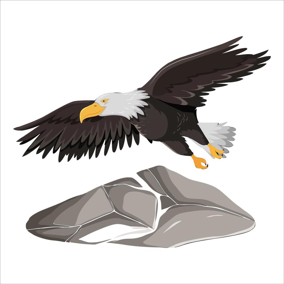 eagle flying gray rock vector