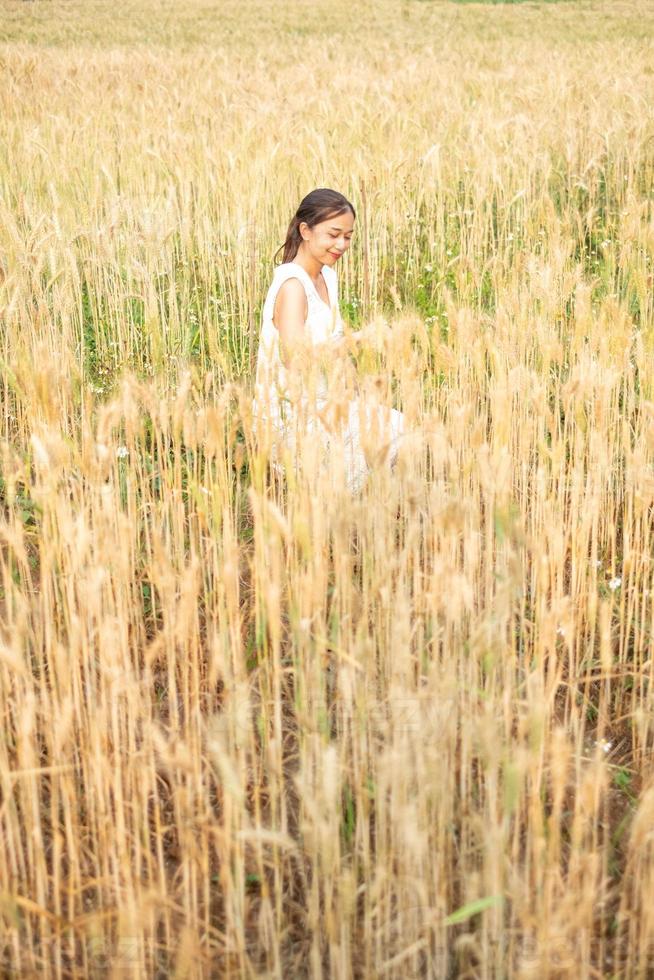 Young Asian women  in white dresses  in the Barley rice field photo