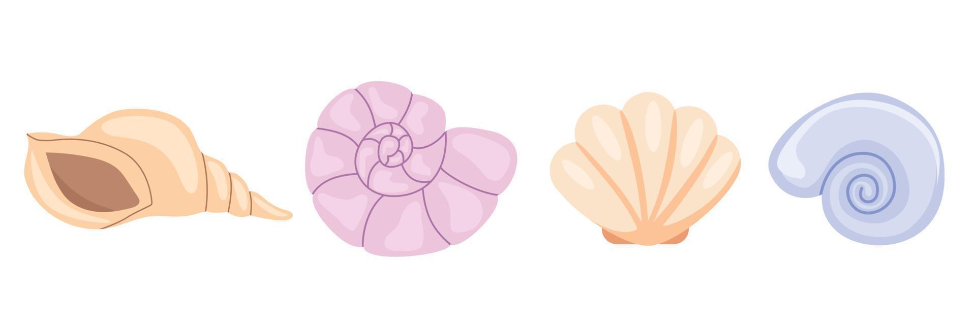 Set of pastel shells. Collection of shell. Vector illustration.