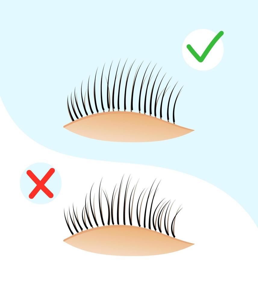 Eyelash extension. Educational poster eyelash extension. correct eyelash extension vector