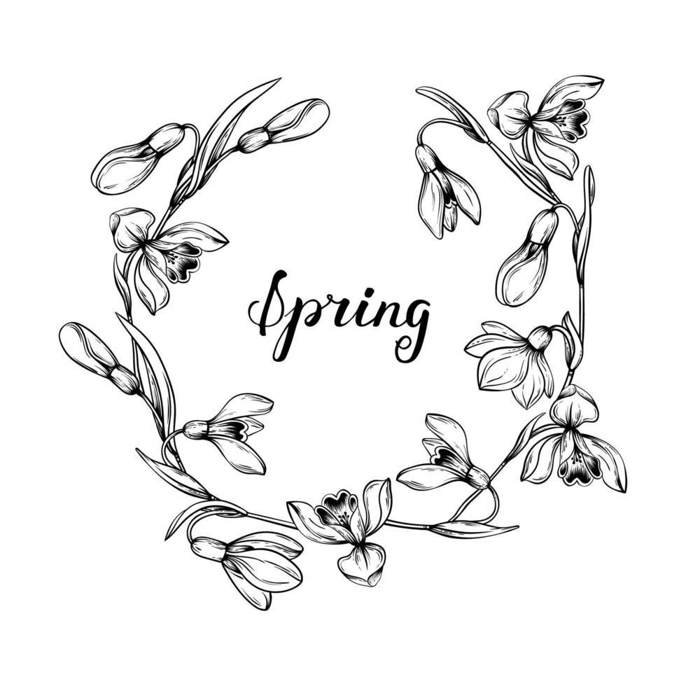 First spring flowers. Snowdrops vector graphic illustration. Delicate flowers circle frame for celebration design.