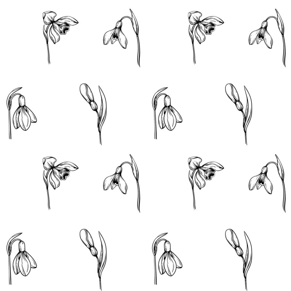 Seamless pattern background with  first spring flowers. Snowdrops vector graphic illustration