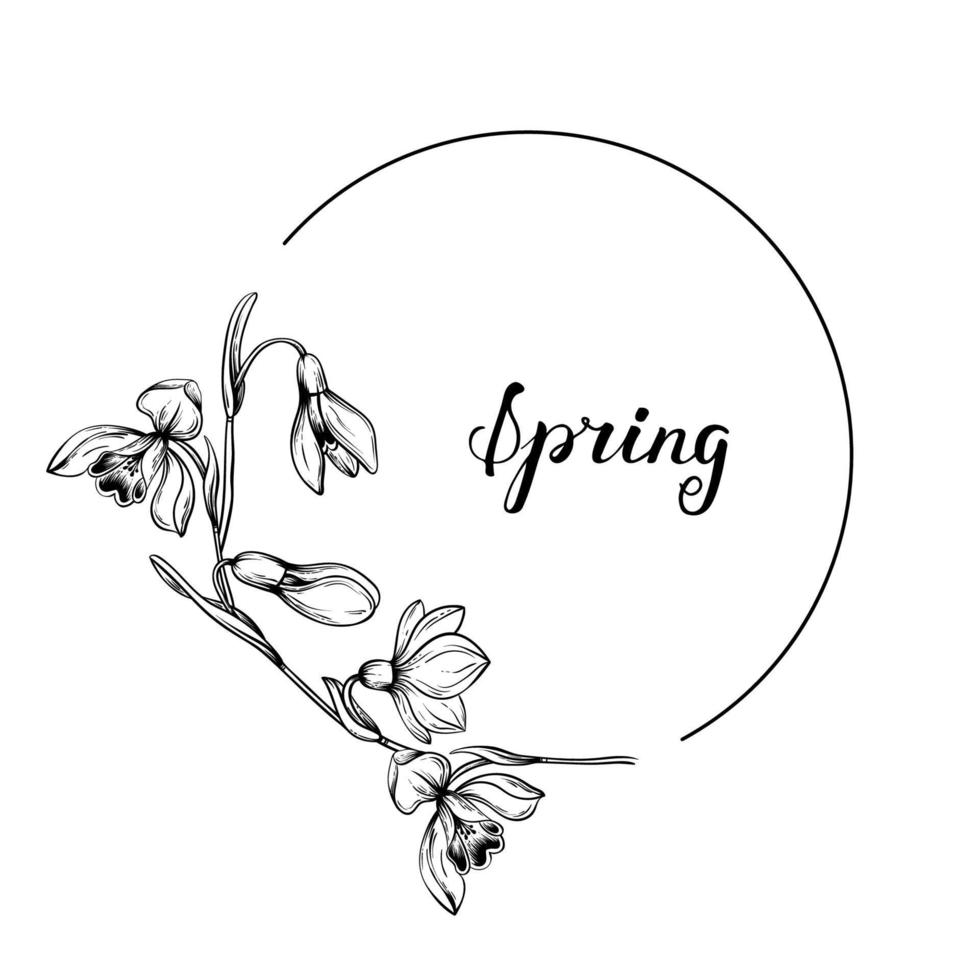 First spring flowers. Snowdrops vector graphic illustration. Delicate flowers circle frame for celebration design.