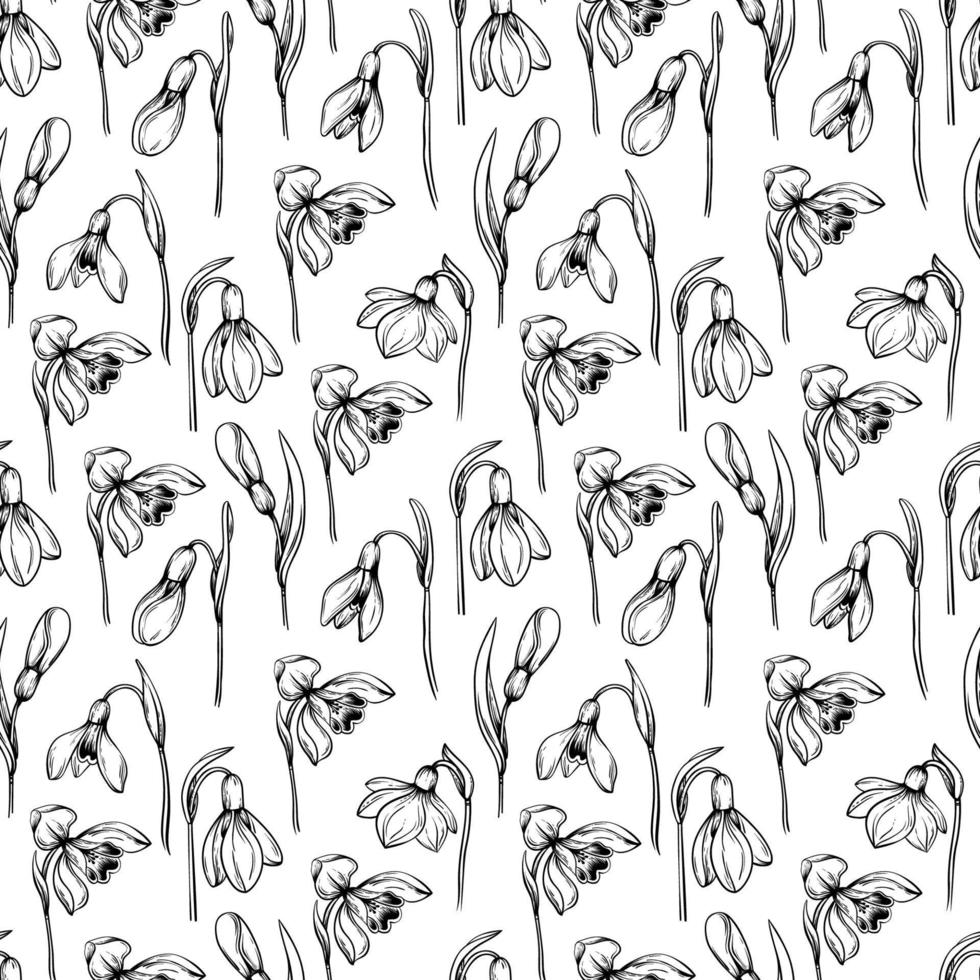 Seamless pattern background with  first spring flowers. Snowdrops vector graphic illustration