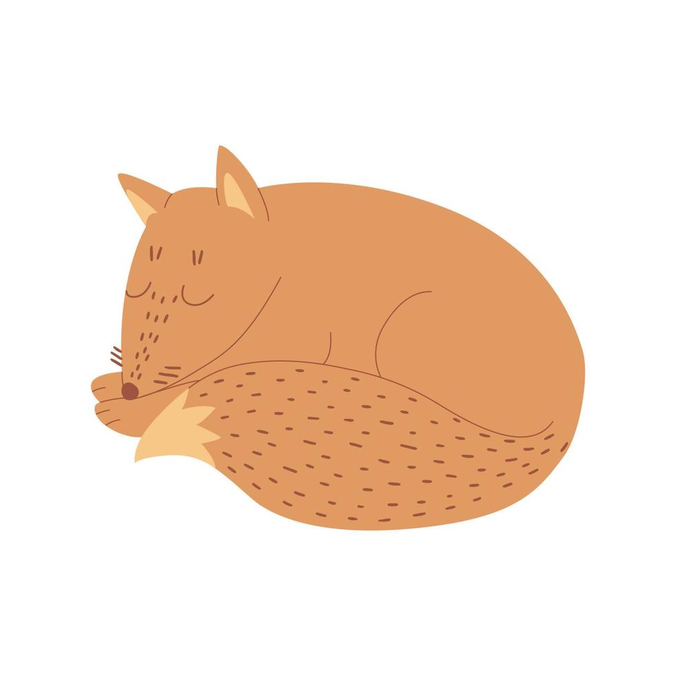Sleeping red fox in cartoon style, isolated on a white background. Funny animal for web icons, children's design, postcards, etc. Vector illustration.