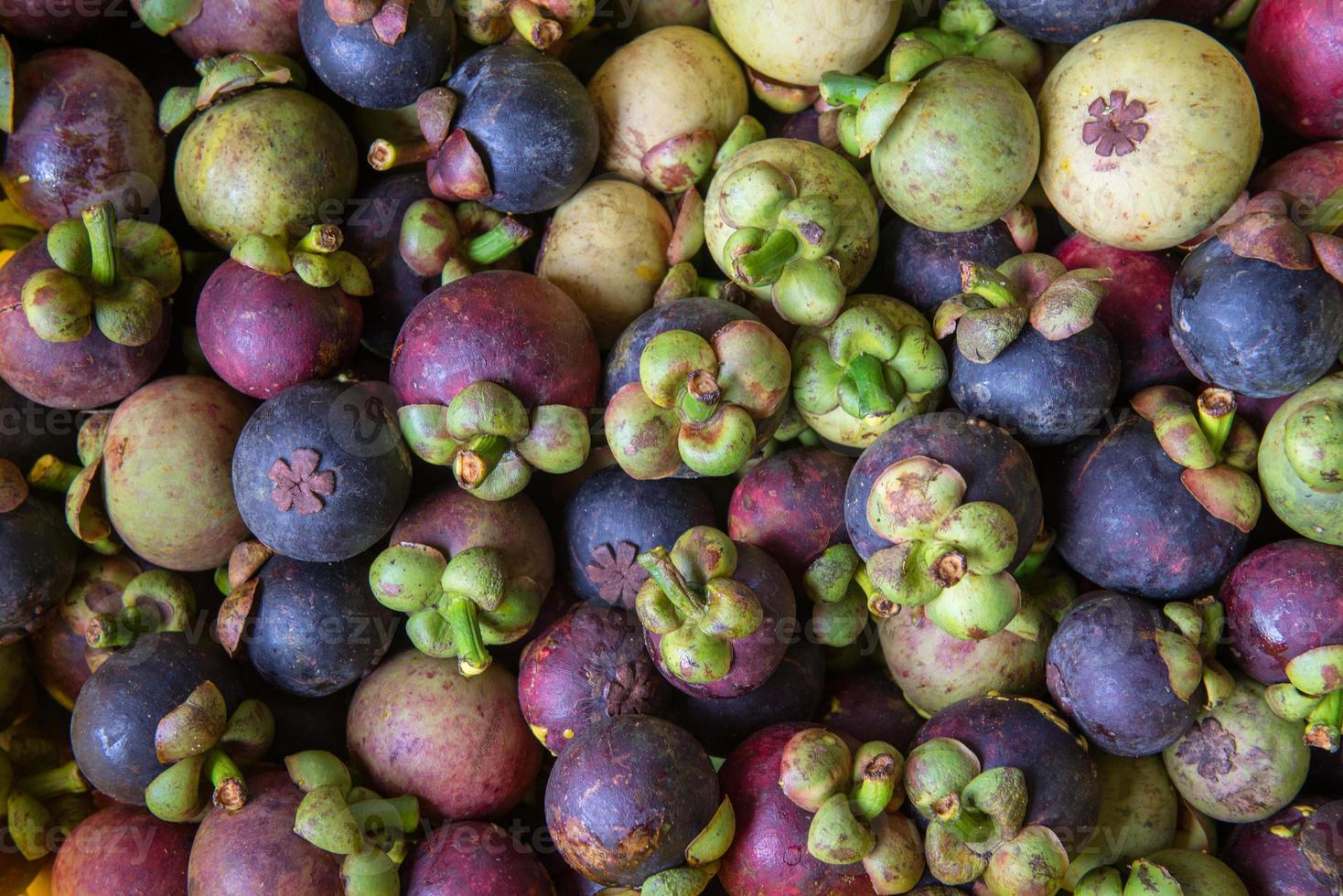 A pile of mangosteen photo
