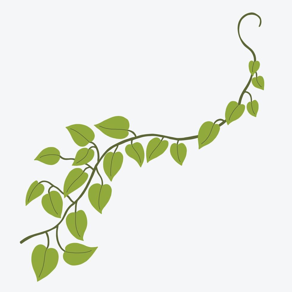 Floral ivy drawing decorative ornament flat design. vector